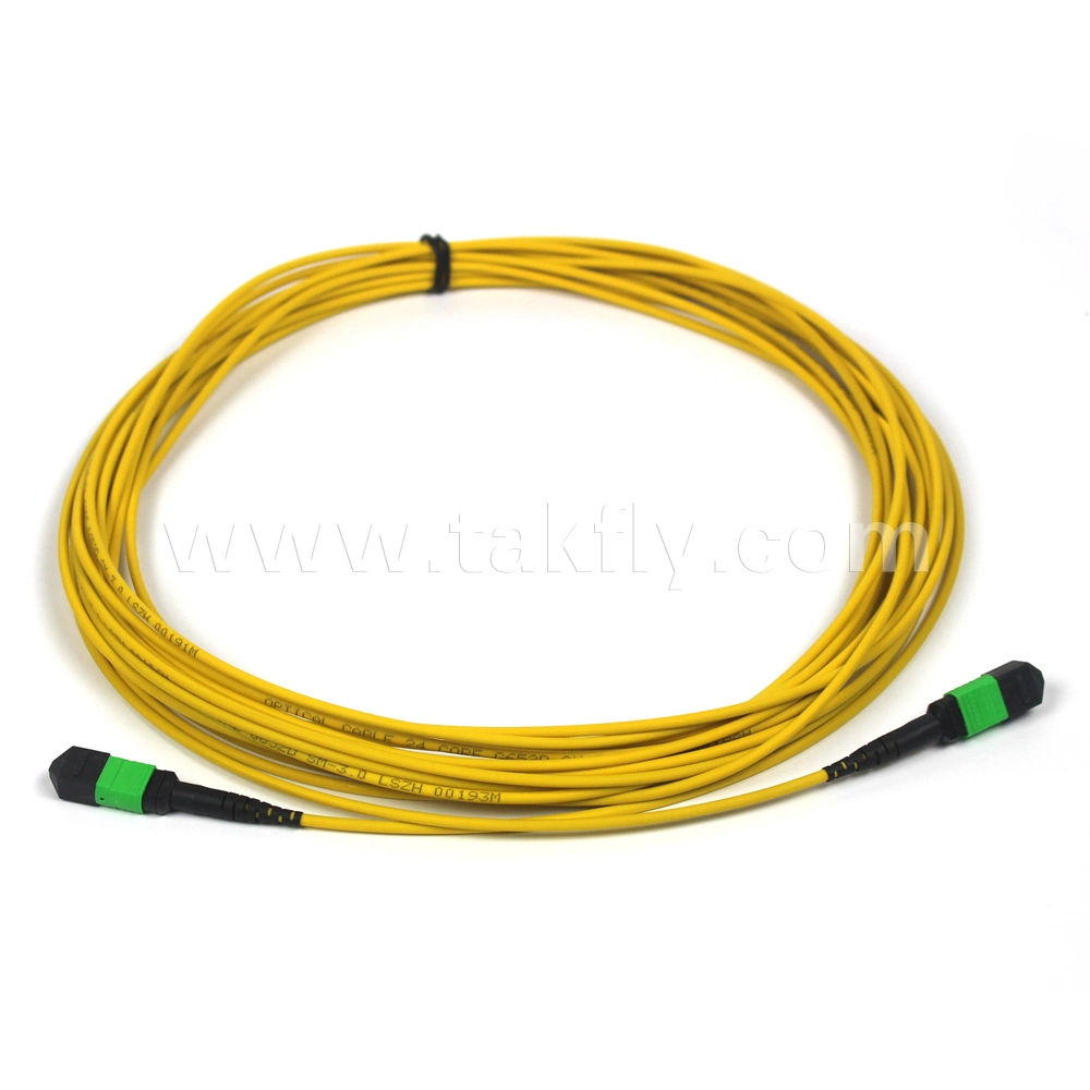 MPO to LC 8 Fibers Sm Optical Fiber Patch Cord Singlemode MTP Cable