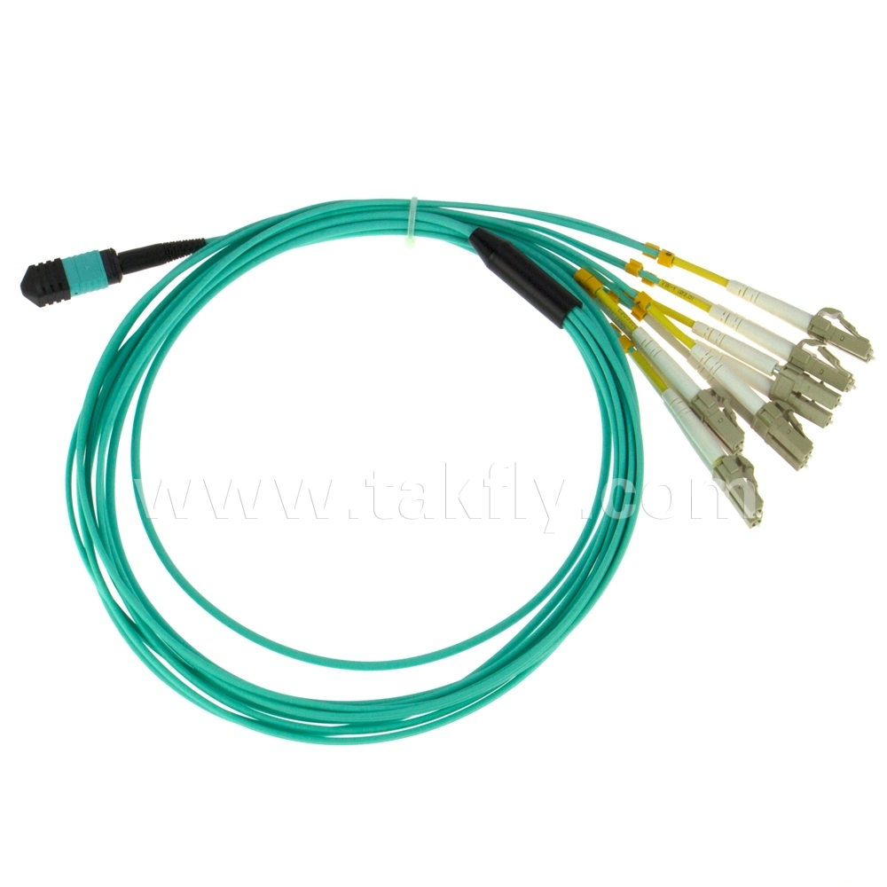 Fiber Optic Cable MPO-CS Sm mm Om3 Om4 Fiber Patch Cord