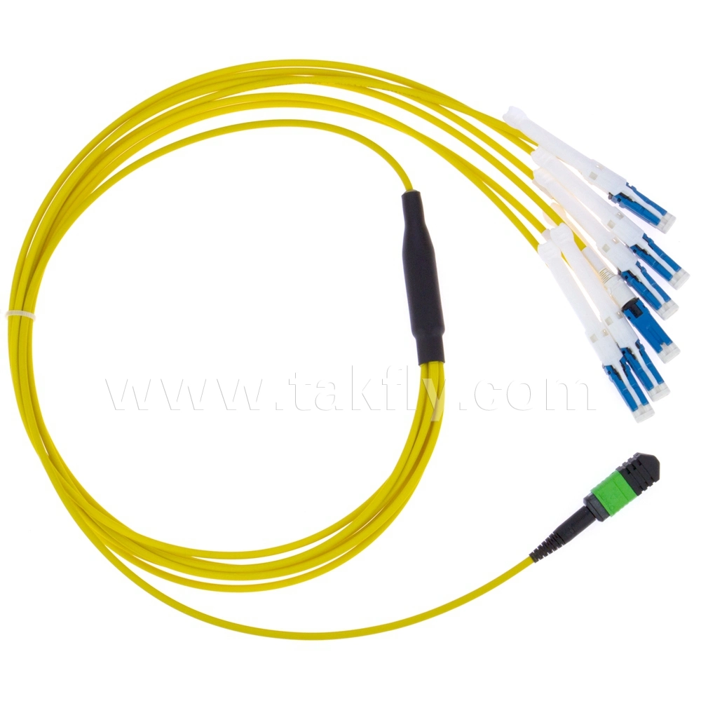 Fiber Optic Cable MPO-Sc Sm mm Om3 Om4 Fiber Patch Cord