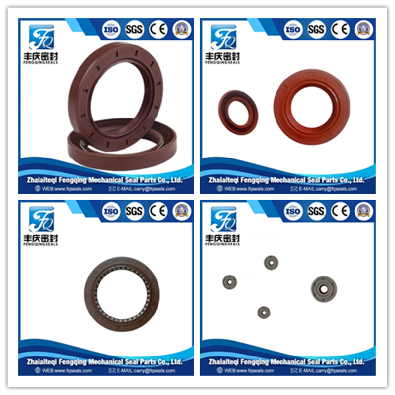 Spare Parts Seal Hydraulic Oil Seal Tc Runbber NBR Ring