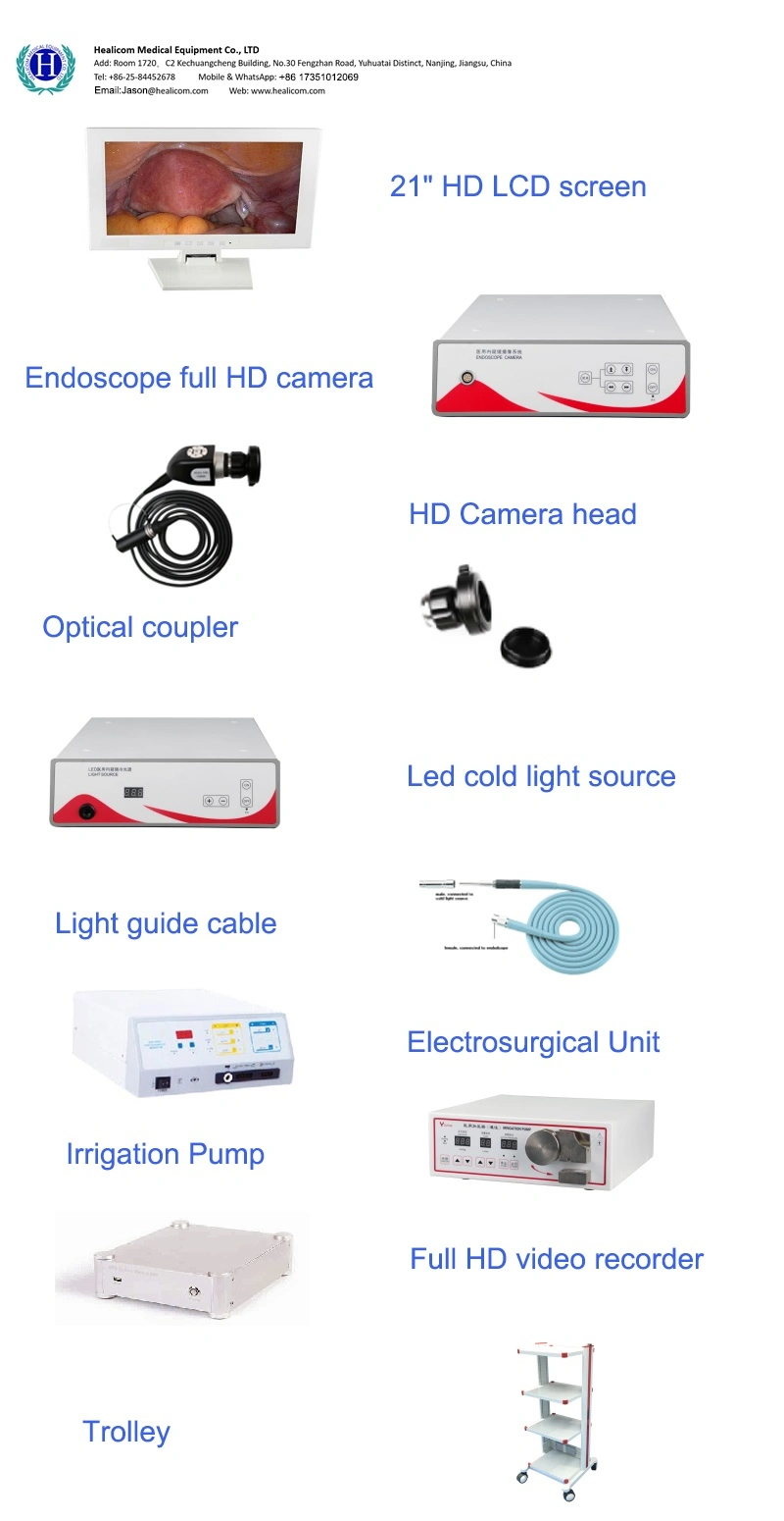 H800c-N Medical Hospital Surgical Diagnostic Equipment Trolley Endoscopy Camera System Anorectal Endoscope Complete Set Price