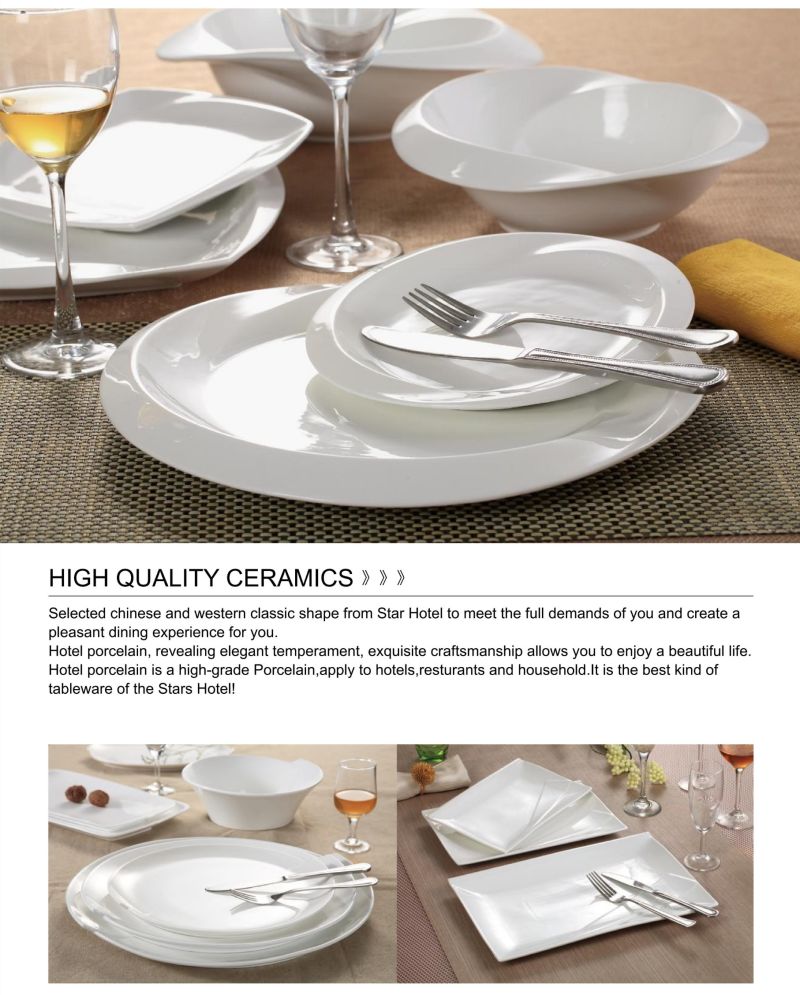 Round Flat Porcelain Plate for Hotels and Restaurants