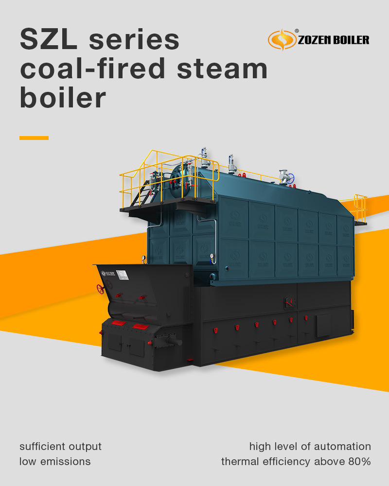 6000kg/H Assembled Chain Coal Fired Water Tube Steam Heater