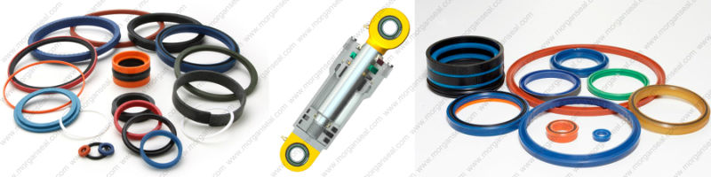 High Quality Hydraulic Seal/O Ring/V Ring/Oil Rubber Seal