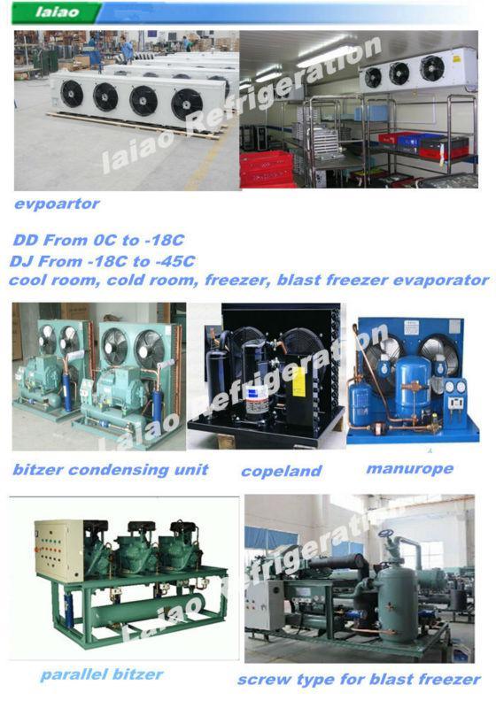 Cold Room, Cold Storage, Container Freezer, Blast Freezer for Seafood