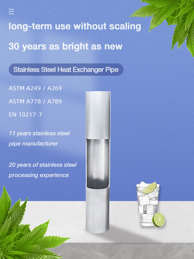 ASTM A249 Sch10 Stainless Steel Condenser Tube Pipe for Vietnam