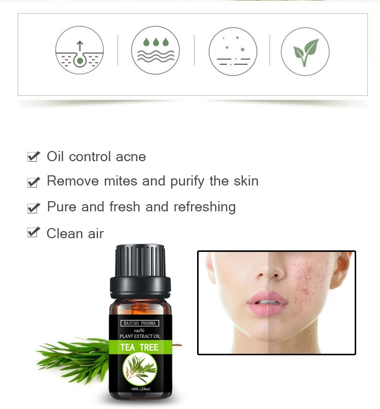 Cosmetics Pure Essential Oil Perfume Daily Flavoring Tea Tree Oil