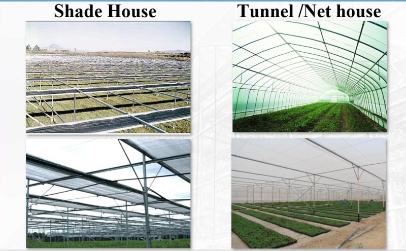 Agriculture/Vegetable Solar Film Greenhouse with Hydroponics/Aquaponic/Automatic Climate Control for Tomato/Flower/Strawberry/Farm/Cucumber/Lean to Greenhouse