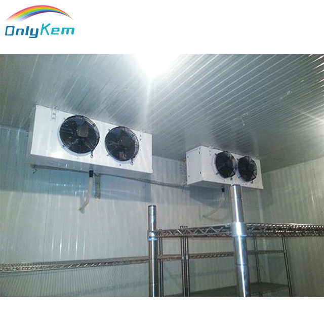 Cold Room Condenser Unit/Refrigeration Unit for Potato