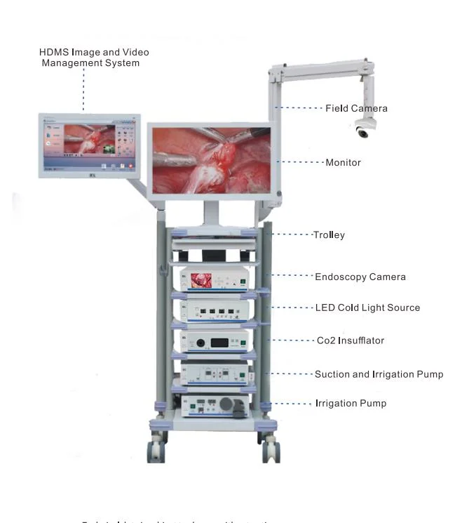 Medical Supply Laparoscope Ent Otoscope Bronchoscope Endoscope Cystoscope Ureteroscope Arthroscope Endoscope Camera