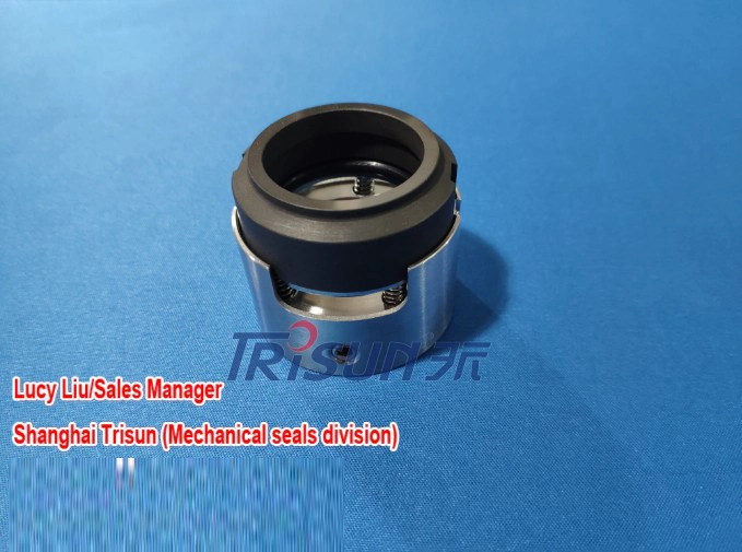 Mechanical Seal, Vortex Pump Seal, Burgmann H75n, Multi-Spring Seal