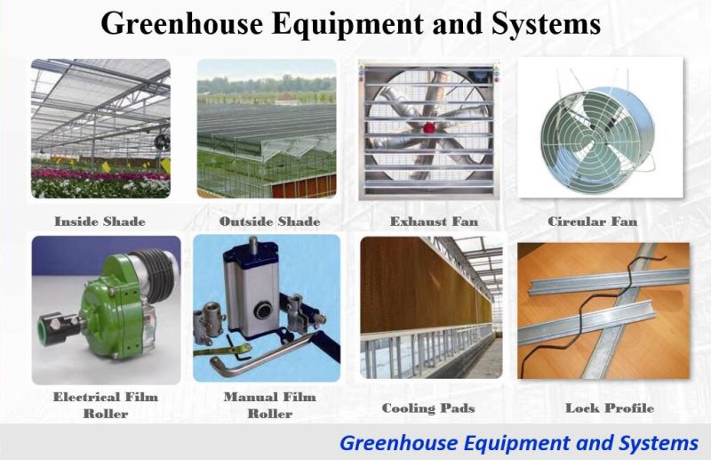 Agriculture/Vegetable Solar Film Greenhouse with Hydroponics/Aquaponic/Automatic Climate Control for Tomato/Flower/Strawberry/Farm/Cucumber/Lean to Greenhouse