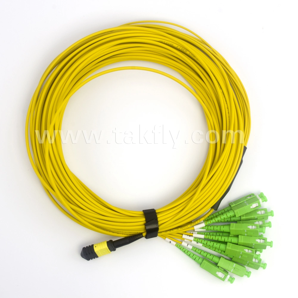 8f 12f 24f 48f OS2 Om3 Om4 MPO Fanout Cable MTP Patch Cord