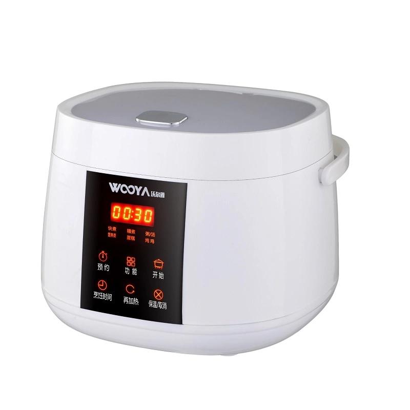 Electric Micro Pressure Rice Cooker with Silicon Seal for Fluffy and Tasty Delicious Rice