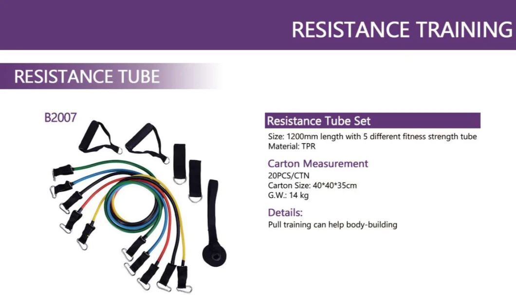 Eco Friendly Workout Body Building Home Gym Resistance Band Set Detachable Resistance Band Set