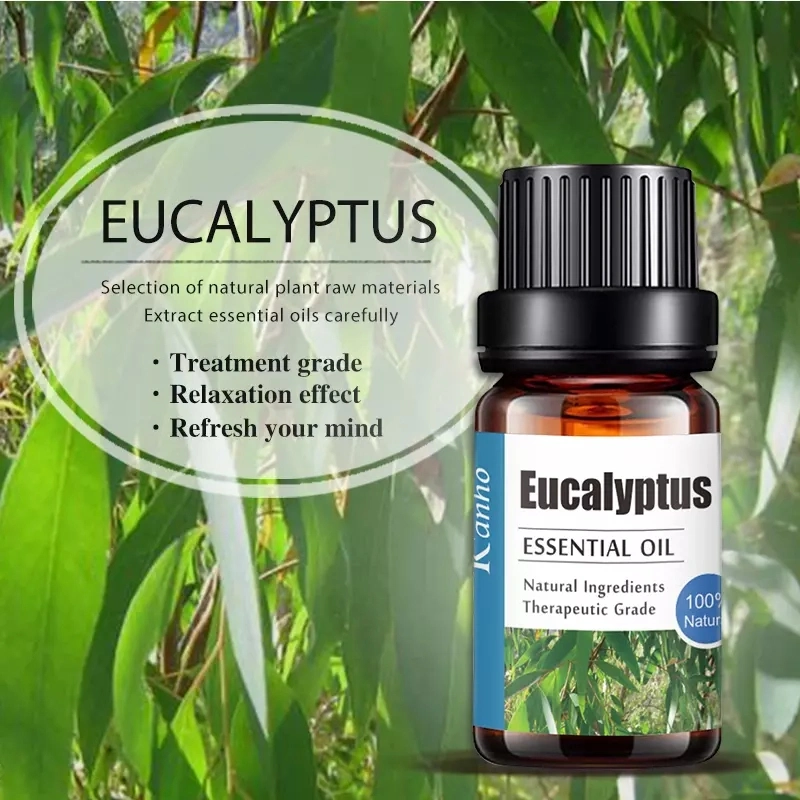 2019 New 100% Natural Eucalyptus Essential Oil 10ml Massage Aromatherapy Essential Oil