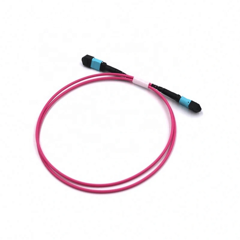 8 12 24 Core MTP Patch Cord Sm mm Fiber Optic MPO Trunk Cable