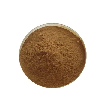 High Quality Fructus Momordicae Extract Mogroside V Luo Han Guo Extract