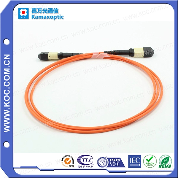 MPO-MPO mm Fiber Optical Patchcord with Aqua/Orange Cable