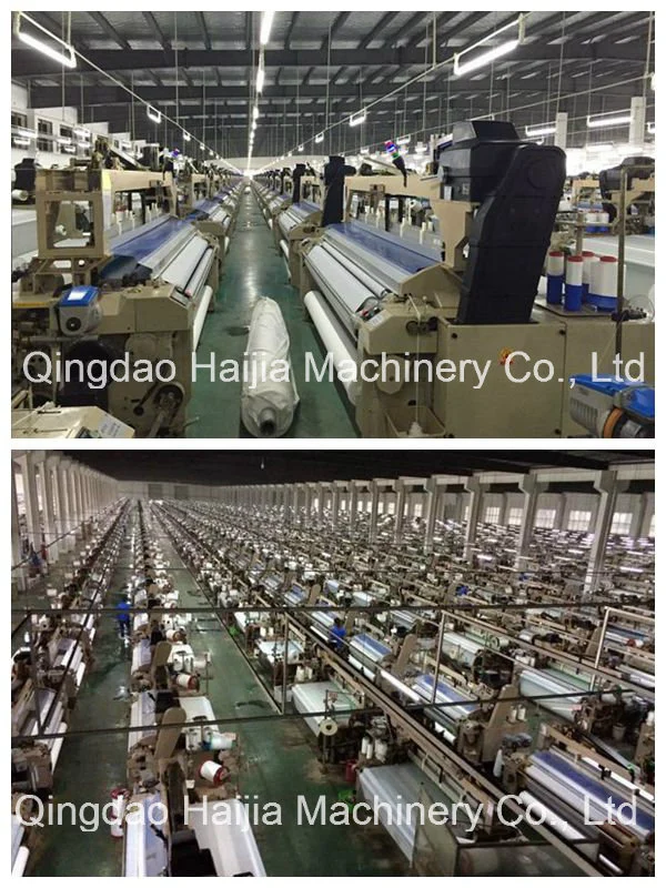 Species Diversity of Haijia Water Jet Loom