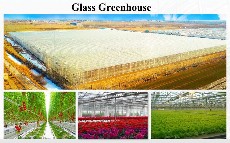 Agriculture/Vegetable Solar Film Greenhouse with Hydroponics/Aquaponic/Automatic Climate Control for Tomato/Flower/Strawberry/Farm/Cucumber/Lean to Greenhouse