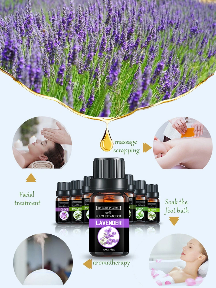 Lavender Essential Oil Fragrance Oil Perfume Oil Cosmetics Essential Oil