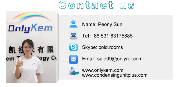 Cold Room Condenser Unit/Refrigeration Unit for Potato