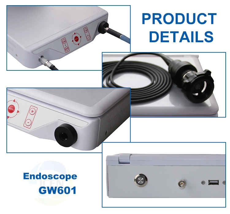 CCD Medical Nasal Ent Endoscope Camera with LED Light Source