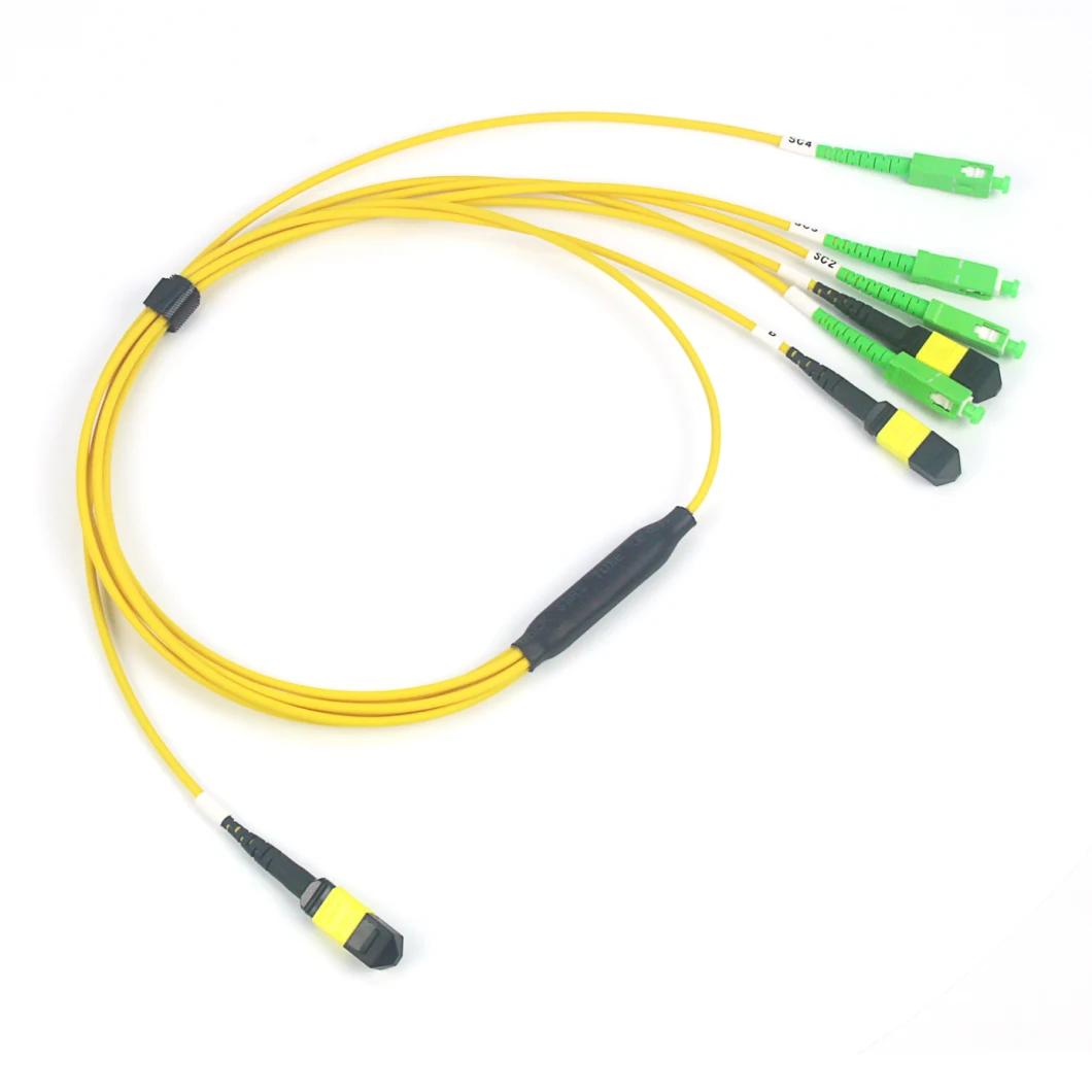 Fiber Optic Cable MPO-CS Sm mm Om3 Om4 Fiber Patch Cord