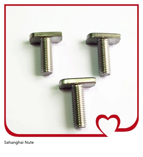T Bolts, Stainless Steel 304 or 316 M4-M24
