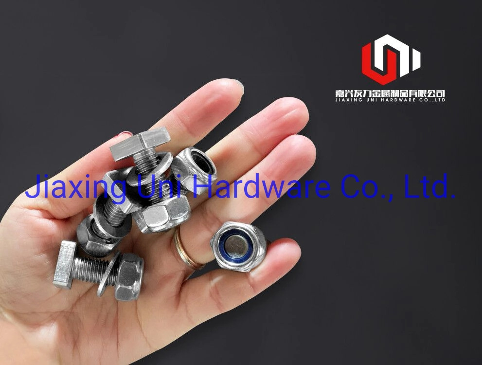 A2-70 Stainless Customized Hammer Head Bolts / T Type Bolts, Full Thread