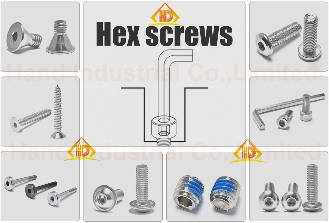 Ss 316 304 Hexagon Socket Button Head Screw