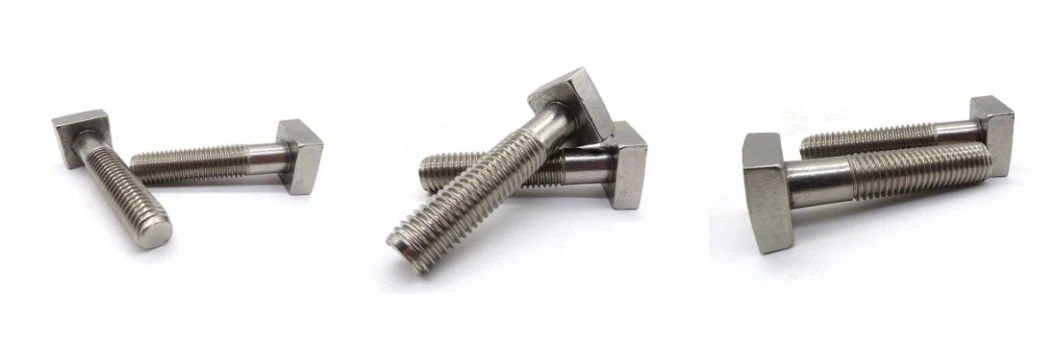Stainless Steel A2 DIN 480 Square Head Bolts T Bolt Square Head Machine Bolt