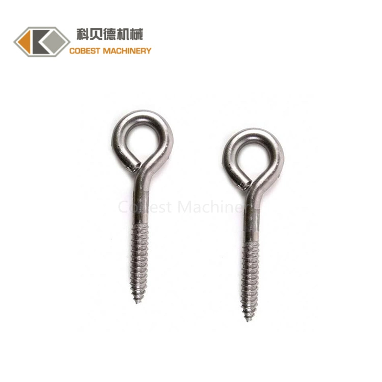 Customized Eye Hook Self Tapping Screw for Lifting