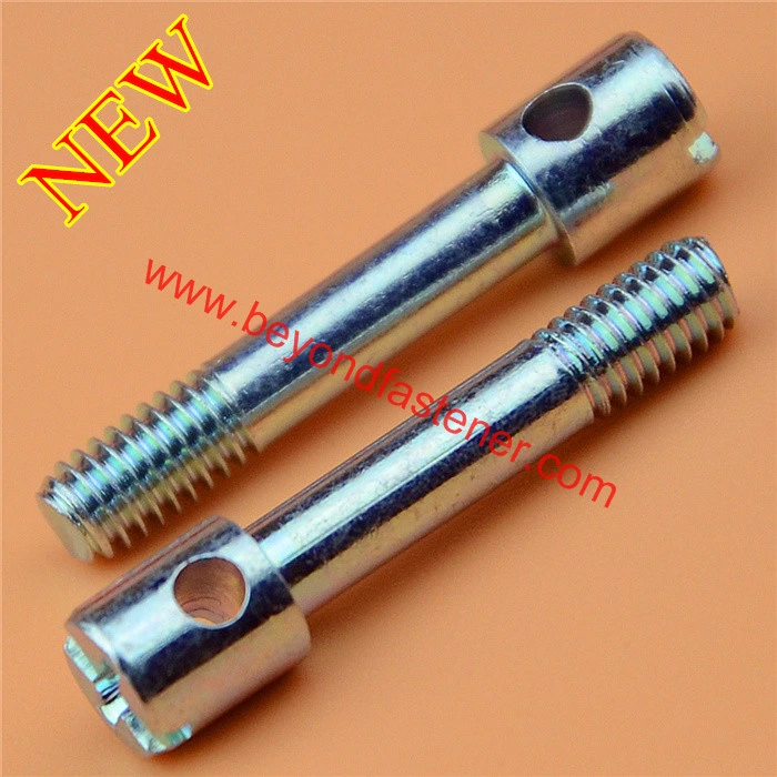 DIN912/DIN7984 Hex Socket Cap Bolt/ Screw/ Machine Screw Torx Screw Treminal Screw