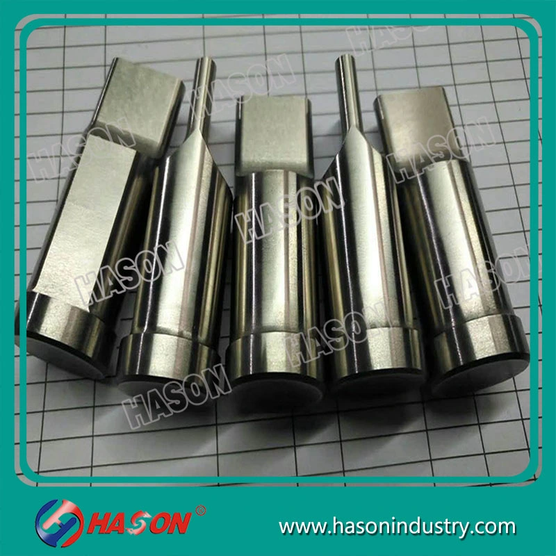 Thick Plate Punch, Aluminum Rivet Punch, Bud Punch, Punch Die, Flat Punch