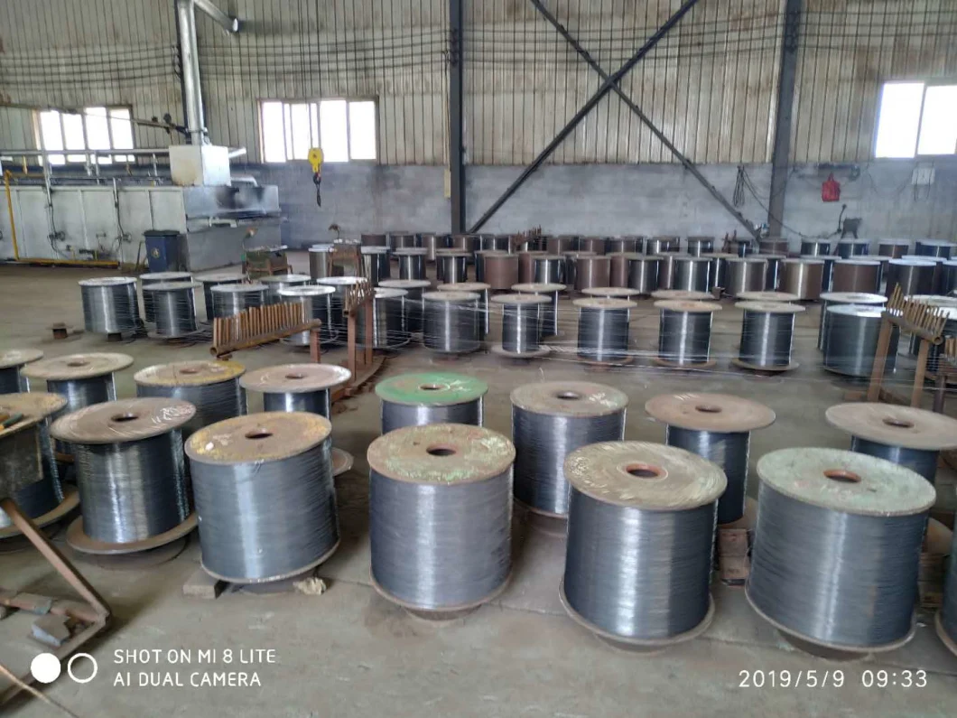 Hot DIP Galvanized Steel Wire for Construction (0.5mm-5.0mm) in Soft