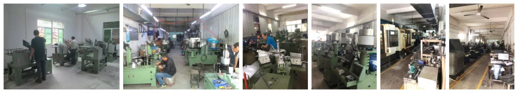 Full Automatic Thread Rolling Machine for Bolt, Screw Making of Fasteners Production Line