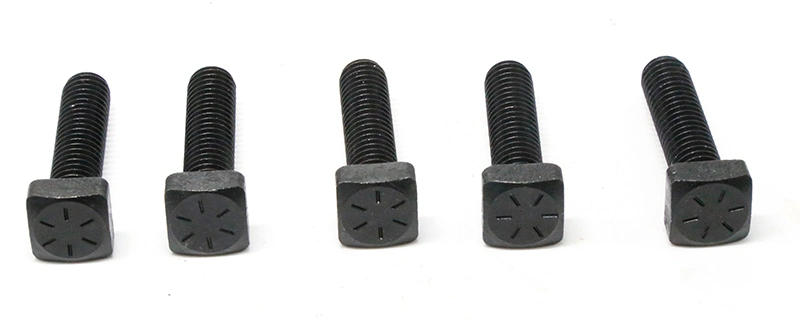 ANSI Square Head Bolt with Black All Size for Square Head Bolt