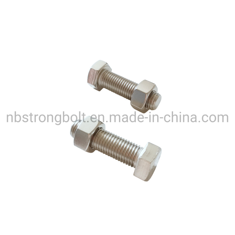 Stainless Steel SS316 Hex Bolt Nut