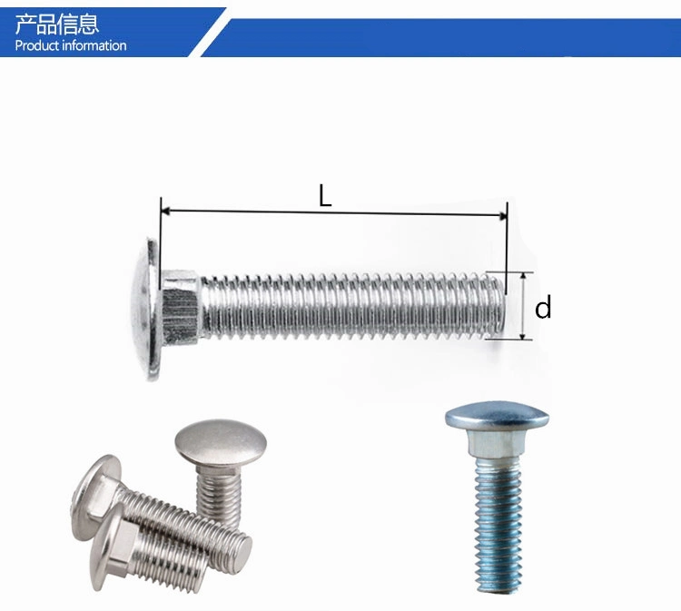 Galvanized & Stainless Steel SUS304/316 (A2/A4) Round Head Square Neck Carriage Bolts