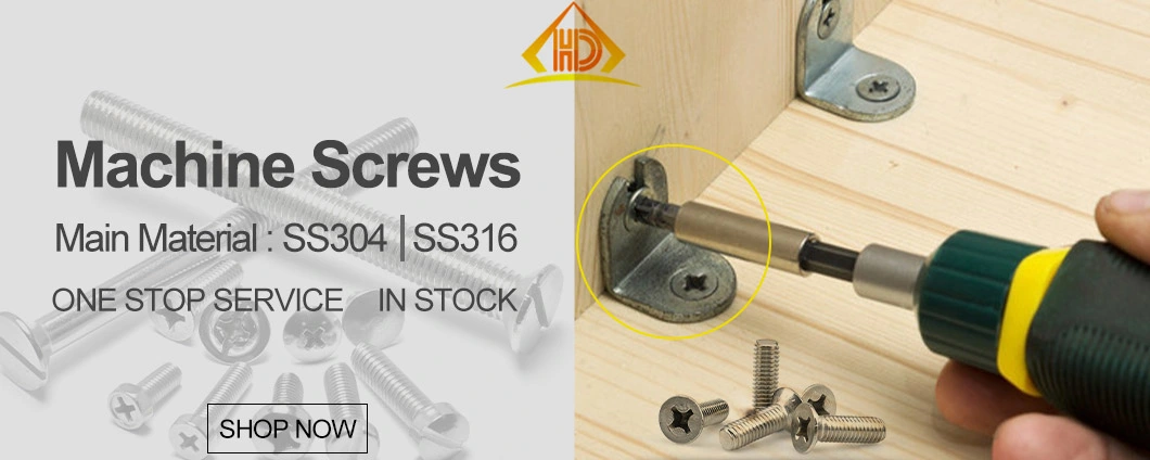18-8 Steel Assembled Phillips Pan Head Screws Machine Screws with Nuts Set