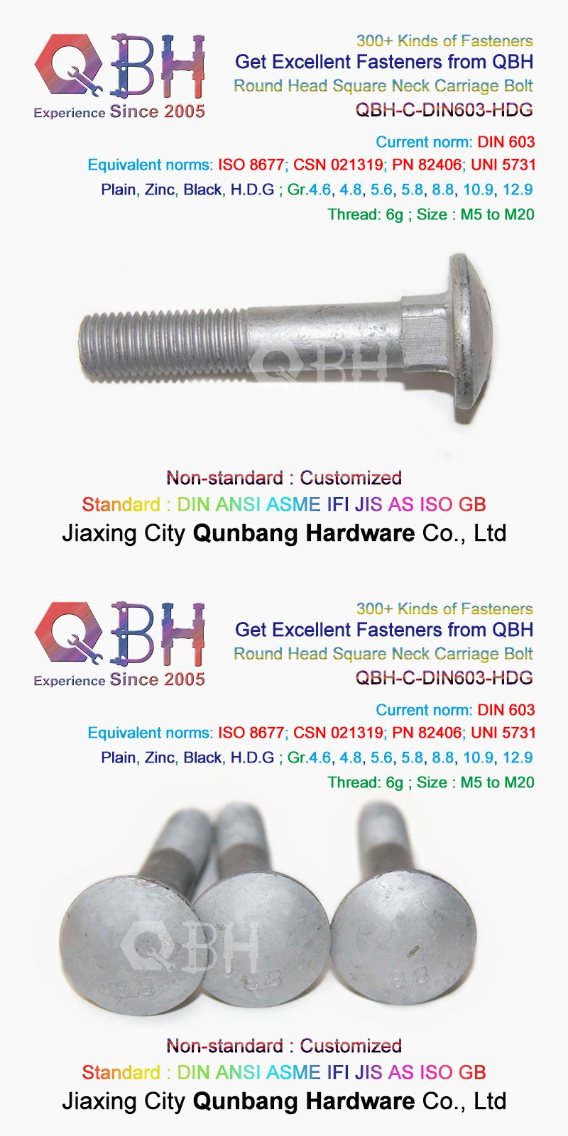 Qbh DIN603 Carriage Bolts (M5-M20 Cl. 4.8/6.8)