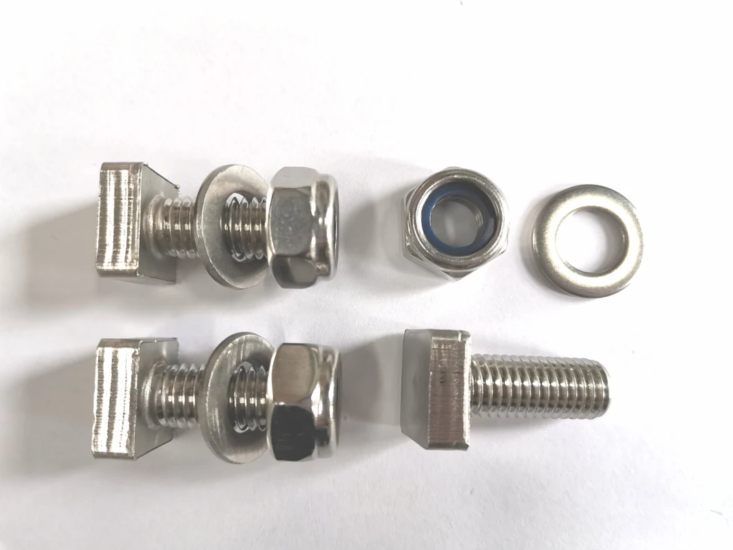 Fastener/Bolt/with Nut/with Washer/Square Bolt/Nylon Lock Nut/Spring Washer/SS304/Stainless Steel/