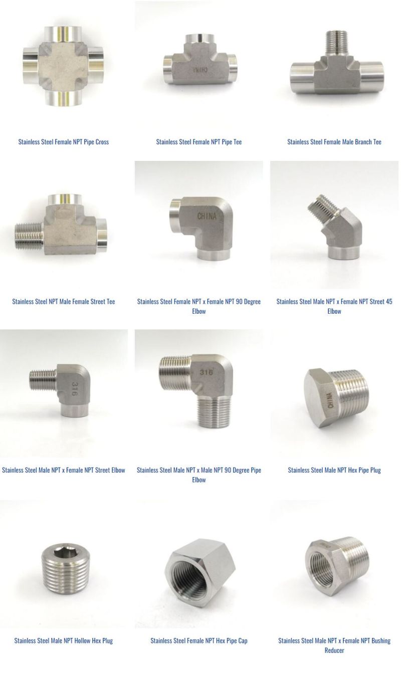 Stainless Steel Pipe Fittings/5404 NPT Male Hydraulic Adapters