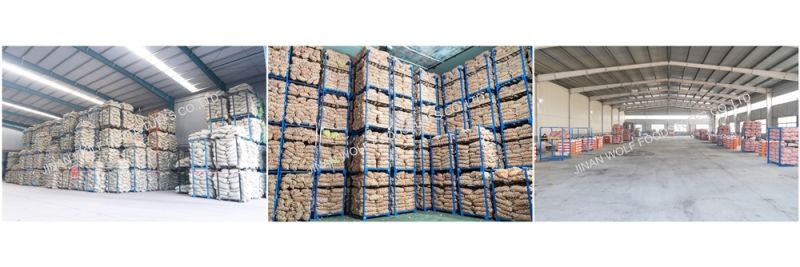 Hot Sale Wholesale Fresh Red Garlic in China