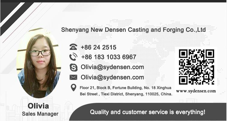 Densen Customized Coupling Fittings, Quick Coupling Fittings, Coupling Part-Intermediate