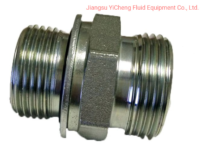 1cg Bsp Thread Stud Ends with O-Ring Sealing Hydraulic Tube Fittings