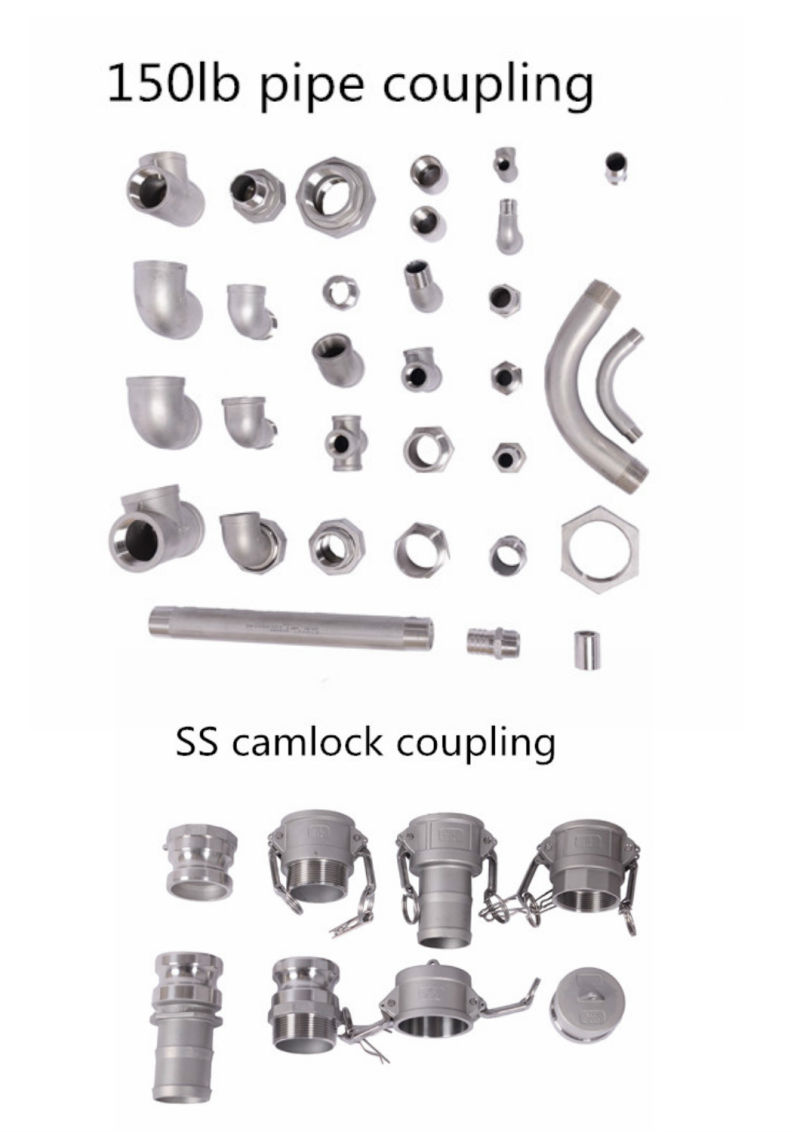 Stainless Steel Type D Grooved Hose Quick Coupler/Camlock Koppelingen