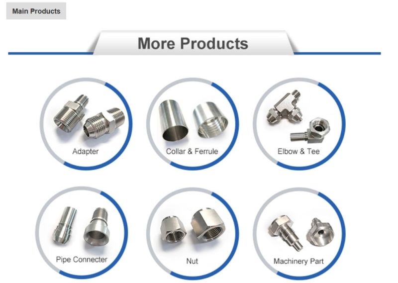 Hydraulic Hoses, Pipe Fittings, Hose Fitting/Hydraulic Adapters/Hydraulic Hose Coupling Fitting